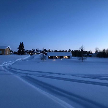 Harjuniemi Villa Kangosjarvi Dış mekan fotoğraf